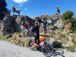 NZeBike Tours